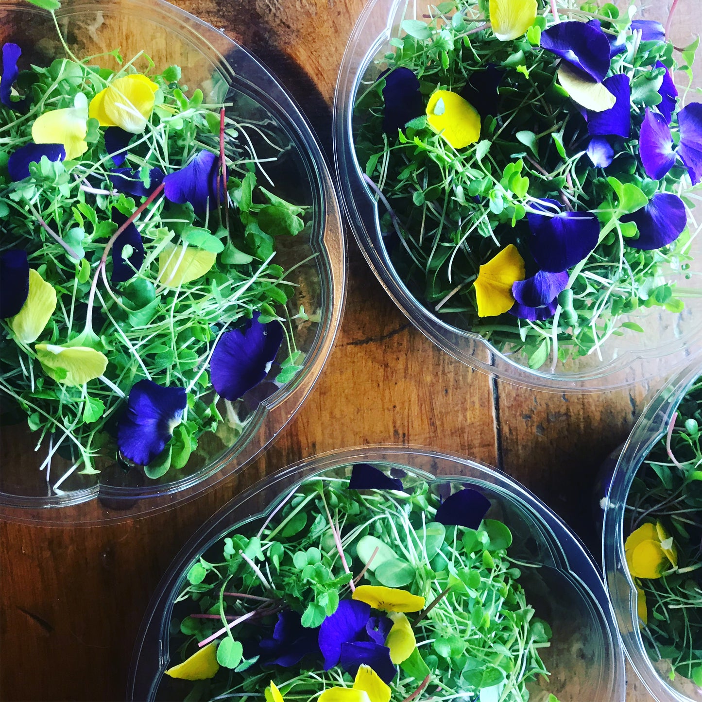 One Hour Consultation