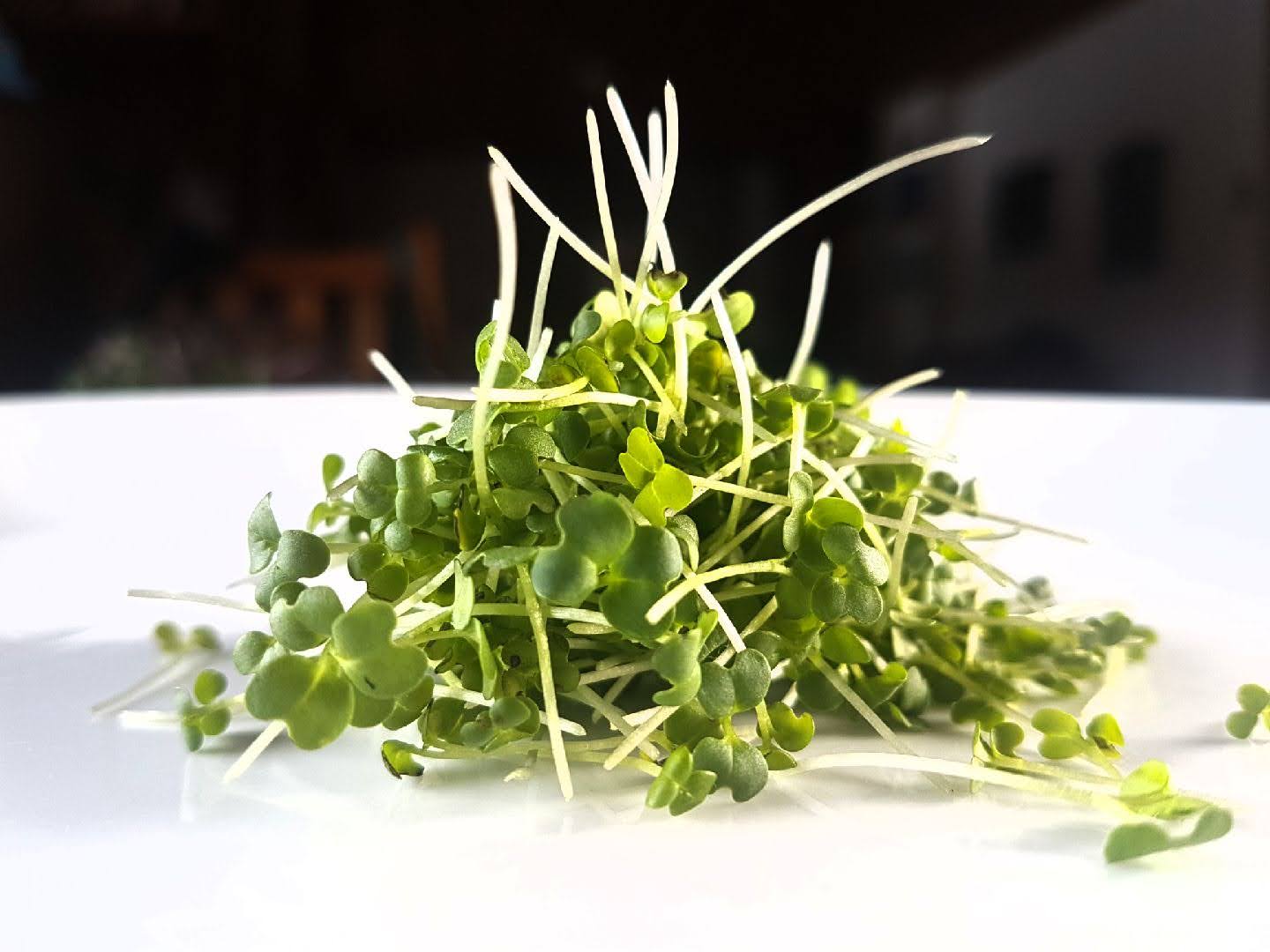 Wasabi Mustard Microgreens