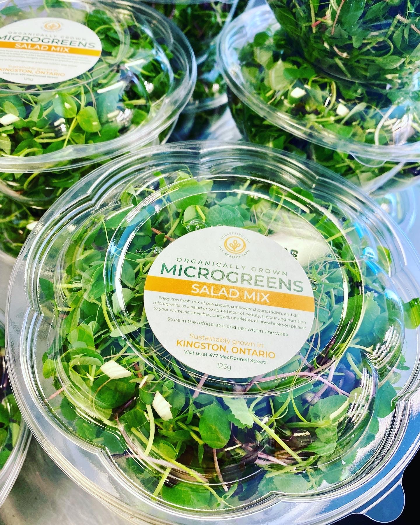 The Microgreens First Timer!