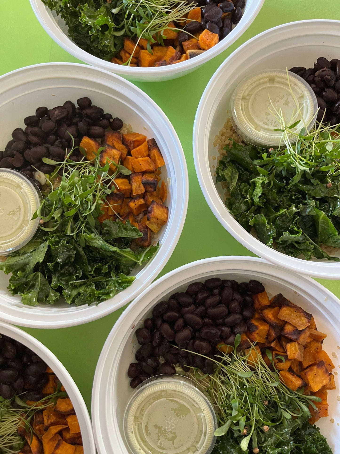 Harvest Bowl