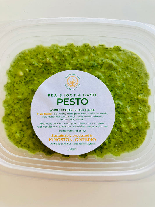 Pea Shoot & Microgreen Basil Pesto