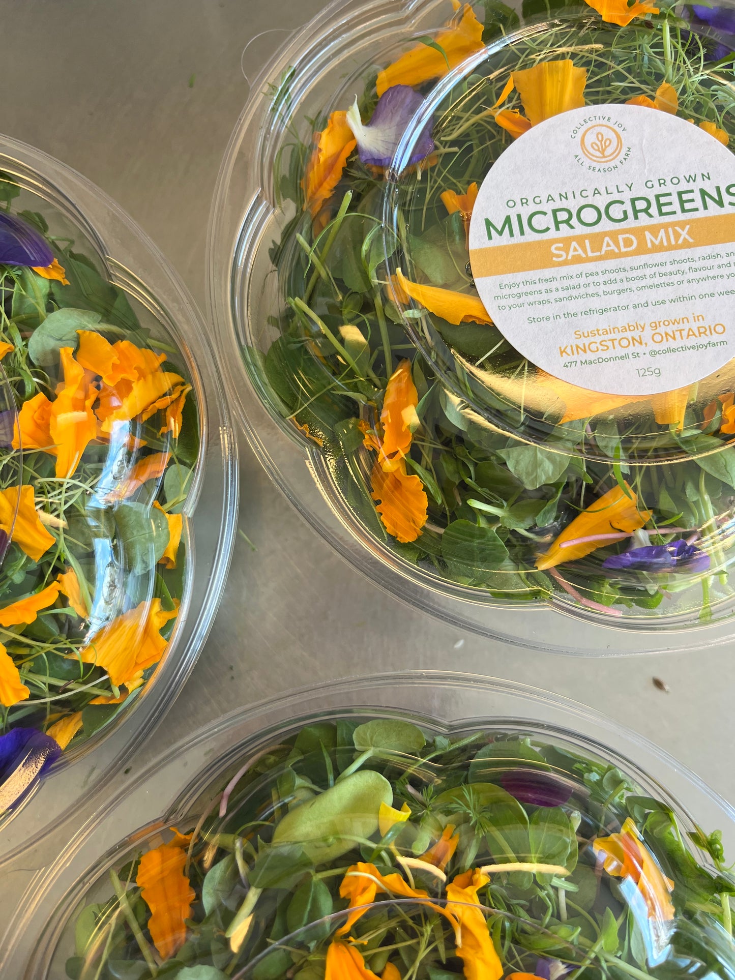 Microgreen Salad Mix