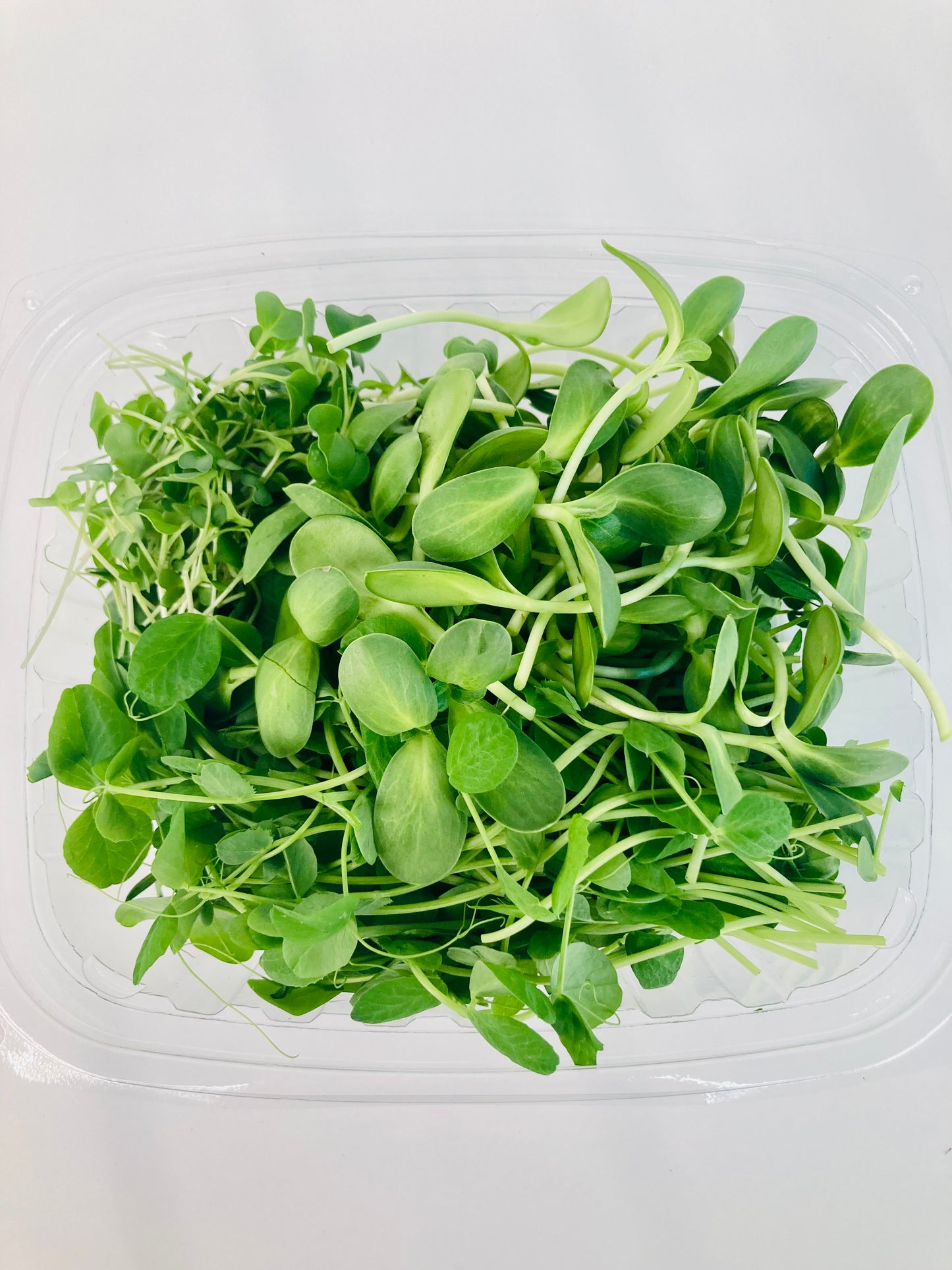 The Microgreens First Timer