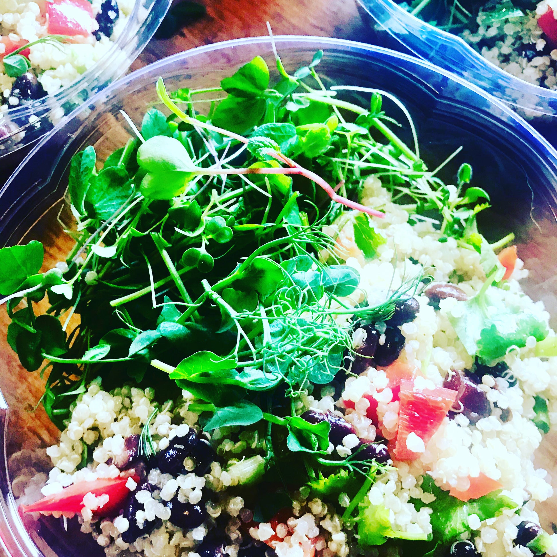 Plantbased Meal Plan Weekly Collective Joy Farm